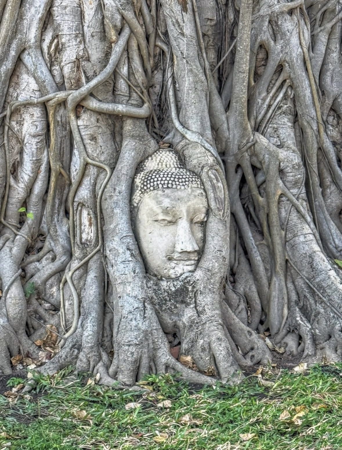 History of Ayutthaya Historical Park heritage